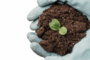 top-view-hands-with-gloves-holding-soil-plant-with-copy-space